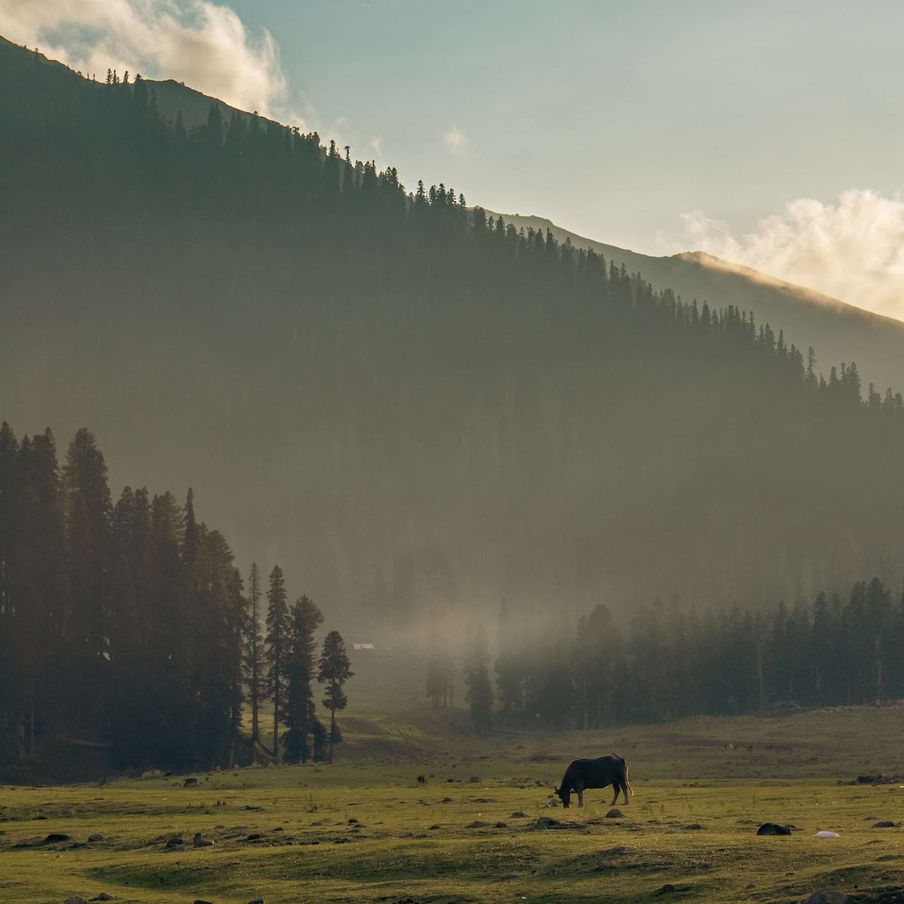 Kashmir Scenery